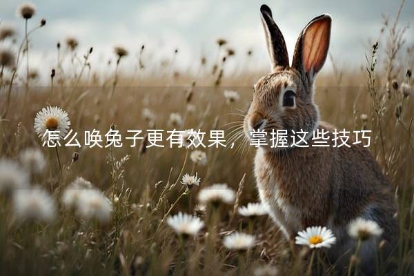 怎么唤兔子更有效果，掌握这些技巧