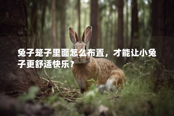 兔子笼子里面怎么布置，才能让小兔子更舒适快乐？