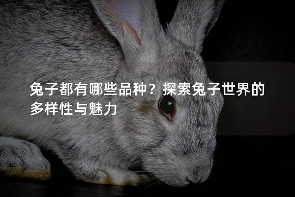 兔子都有哪些品种？探索兔子世界的多样性与魅力