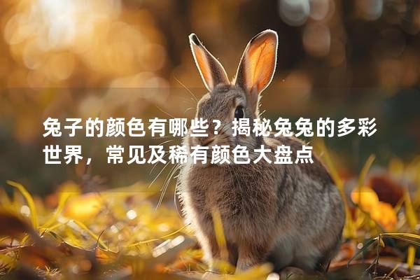 兔子的颜色有哪些？揭秘兔兔的多彩世界，常见及稀有颜色大盘点