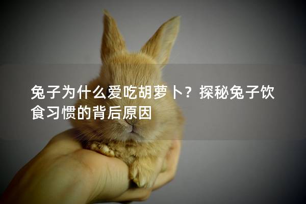 兔子为什么爱吃胡萝卜？探秘兔子饮食习惯的背后原因