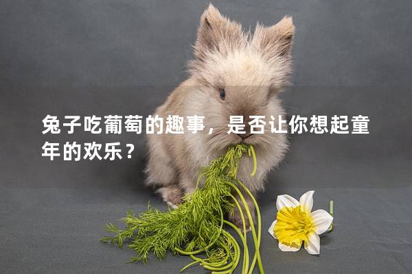 兔子吃葡萄的趣事，是否让你想起童年的欢乐？