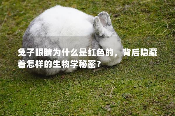 兔子眼睛为什么是红色的，背后隐藏着怎样的生物学秘密？