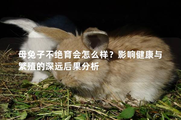 母兔子不绝育会怎么样？影响健康与繁殖的深远后果分析