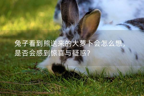 兔子看到熊送来的大萝卜会怎么想，是否会感到惊喜与疑惑？