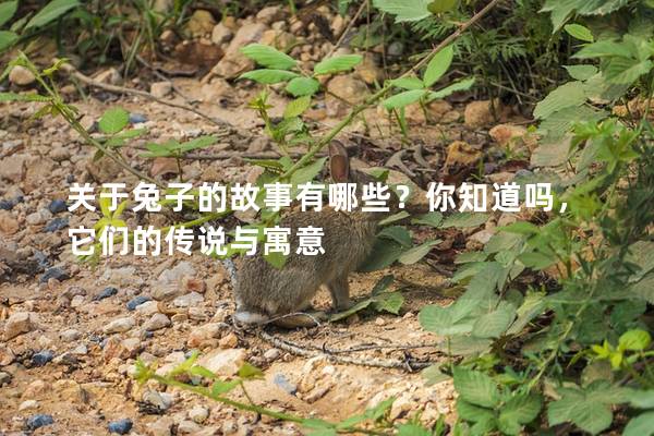 关于兔子的故事有哪些？你知道吗，它们的传说与寓意