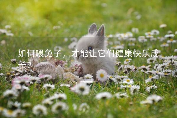 如何喂兔子，才能让它们健康快乐成长？