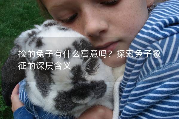 捡的兔子有什么寓意吗？探索兔子象征的深层含义