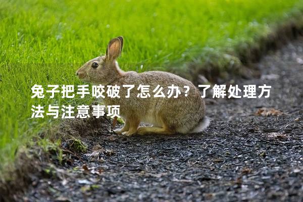 兔子把手咬破了怎么办？了解处理方法与注意事项