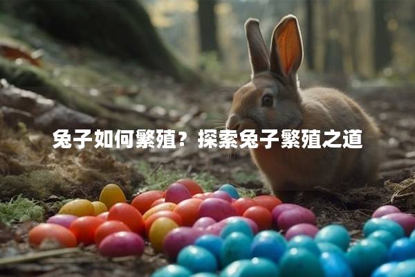 兔子如何繁殖？探索兔子繁殖之道