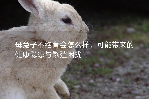 母兔子不绝育会怎么样，可能带来的健康隐患与繁殖困扰