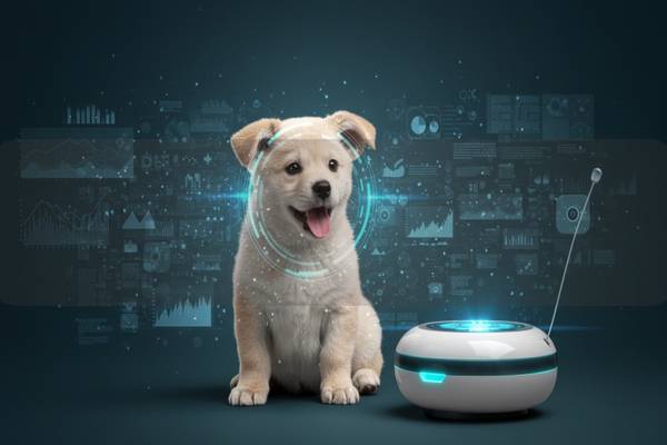智能宠物排泄物识别：AI技术助力养宠新体验与环境保护