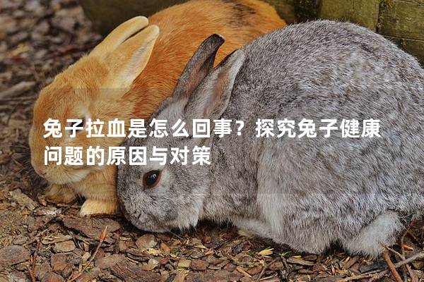 兔子拉血是怎么回事？探究兔子健康问题的原因与对策