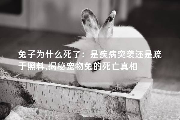兔子为什么死了：是疾病突袭还是疏于照料,揭秘宠物兔的死亡真相